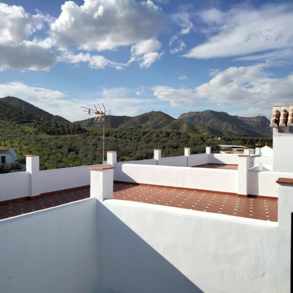 oplus_0